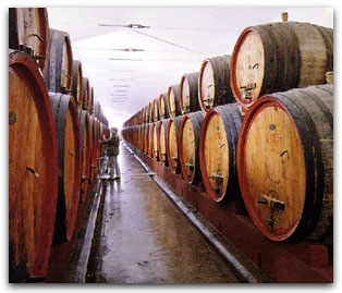 Botti per la produzione del vino